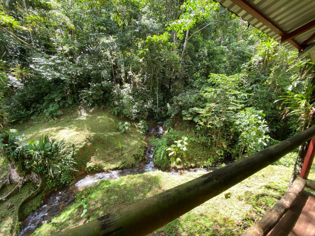 Esquipulas Rainforest كيبوس المظهر الخارجي الصورة