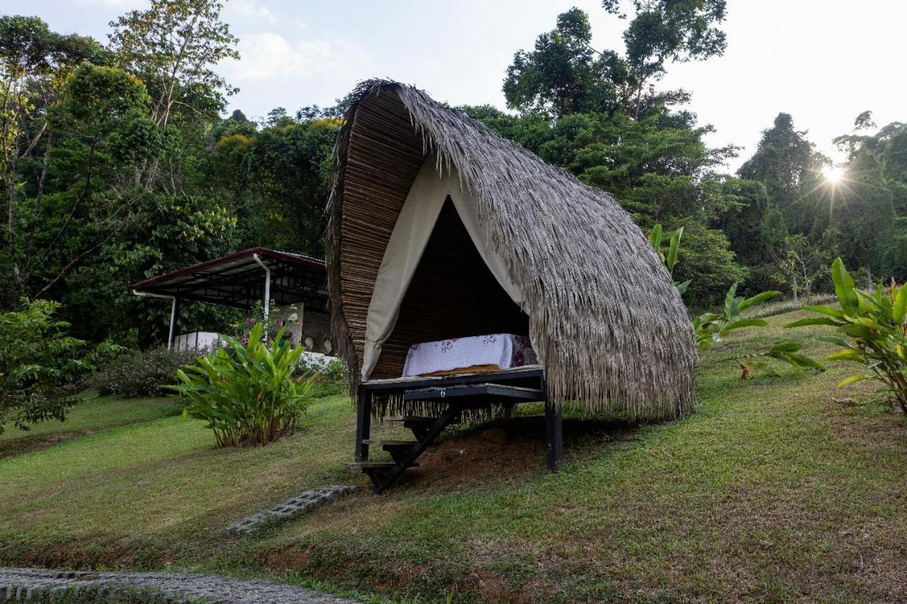 Esquipulas Rainforest كيبوس المظهر الخارجي الصورة
